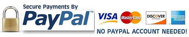 Paypal-Logo-No-Paypal-Account-needed | (re)integrate – faith, life ...